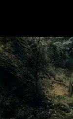 The Lord of the Rings The Two Towers