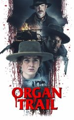 Organ Yolu