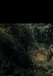 The Lord of the Rings The Two Towers