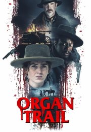 Organ Yolu